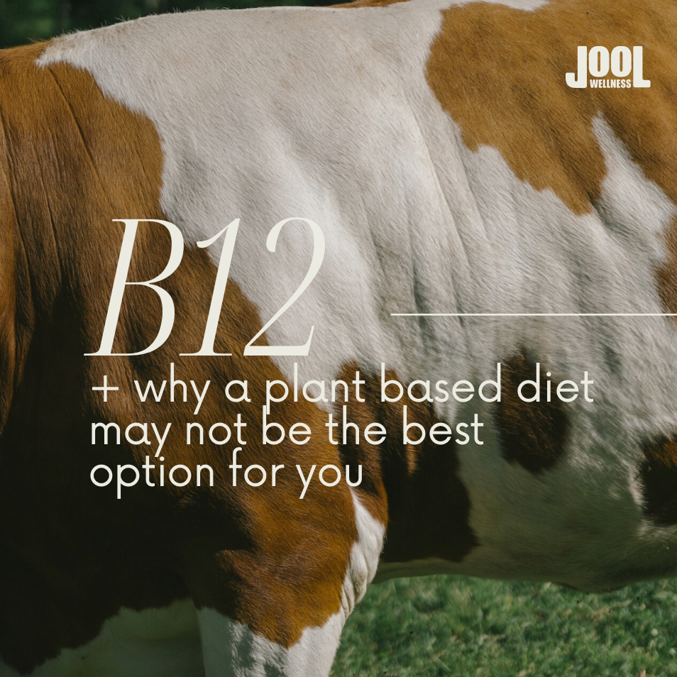 B12 Deficiency: Why Plant-Based Diets May Be Missing the Mark — and How Beef Liver Can Help