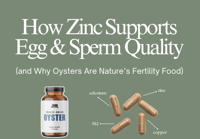 Oyster Capsules for Fertility: How Zinc Supports Egg & Sperm Quality