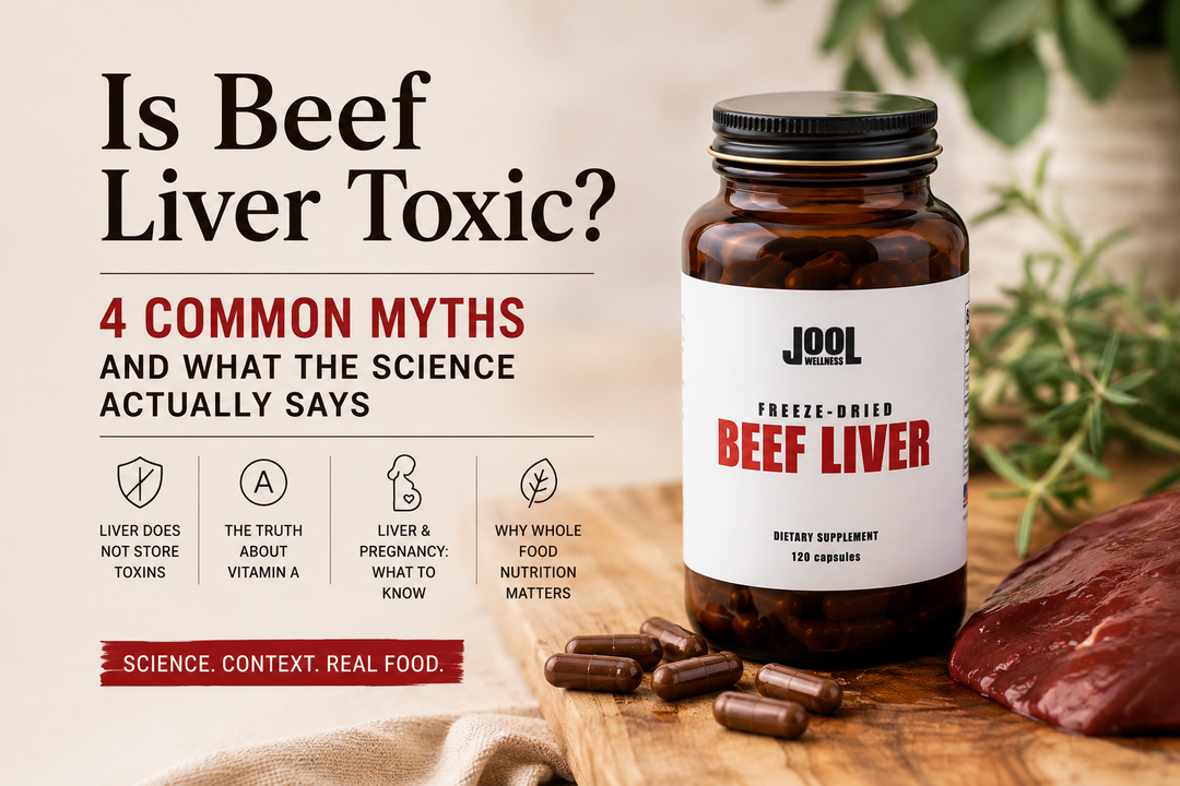Is Beef Liver Toxic? 4 Myths About Freeze Dried Beef Liver Supplements